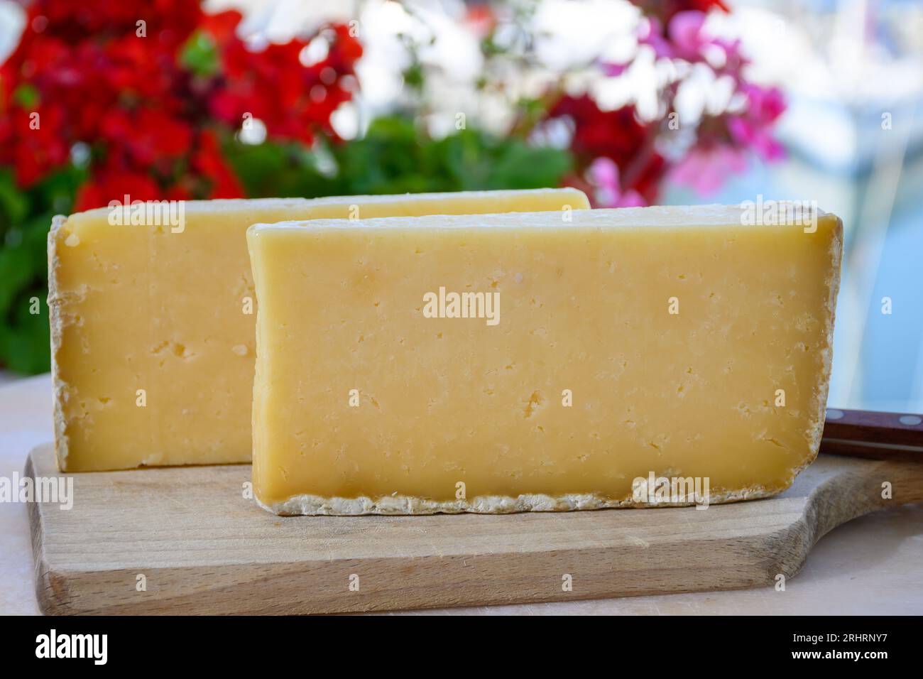 Cheese collection, hard French cheese old cantal fermier made from raw ...