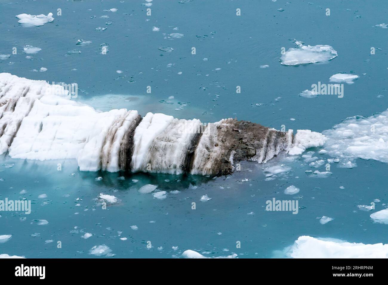 A chunk of ice, also known as a growler, which has broken off of the Lamplugh Glacier in Glacier Bay National Park, Alaska Stock Photo