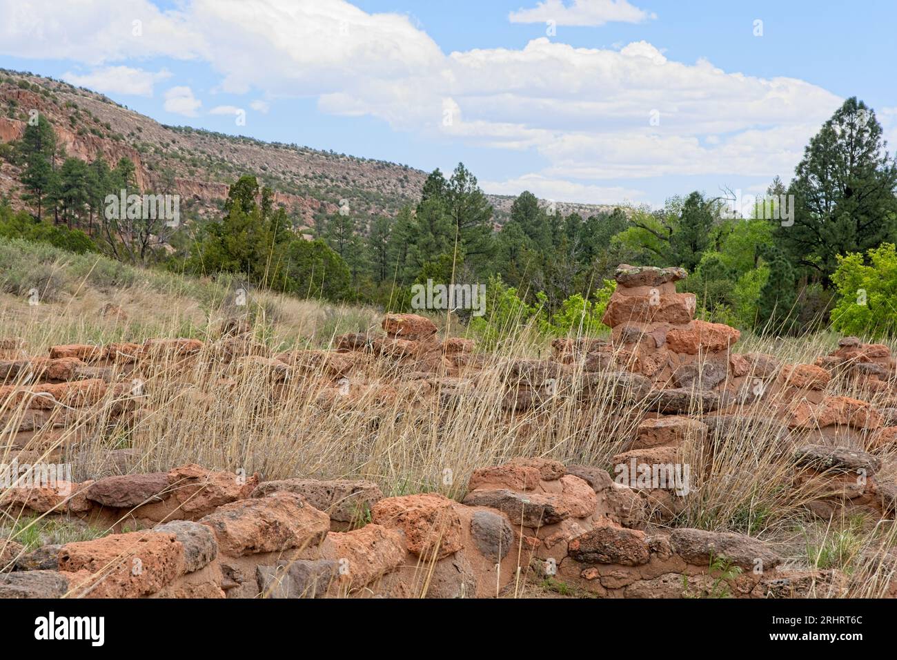 Tall grass cover foundation ruins ancient Puebloan community of  Frijoles canyon  in Bandelier National Monument Stock Photo