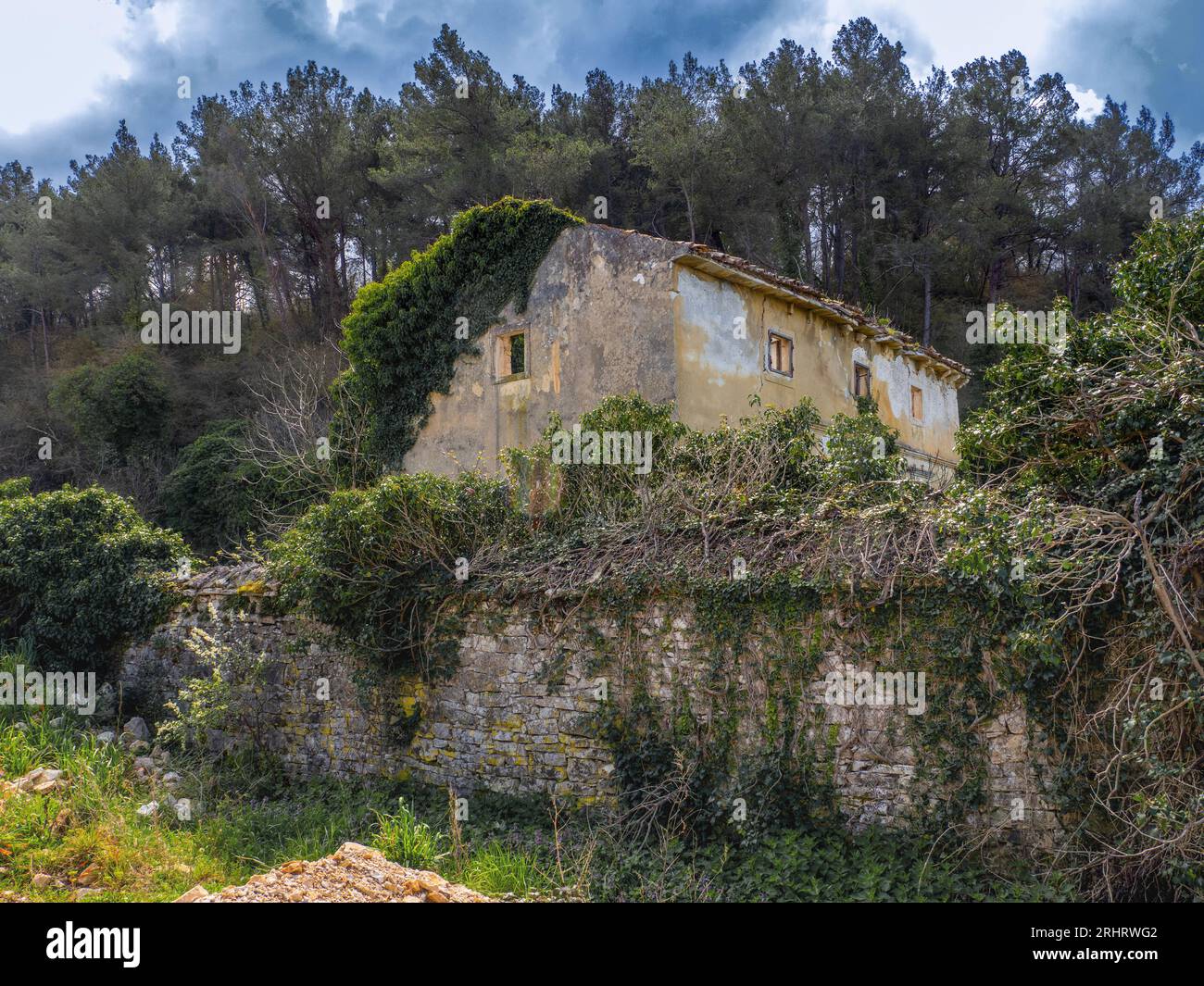 dilapidated and overgrown old house in Tar, Croatia, Istria, Tarangire National Park Stock Photo