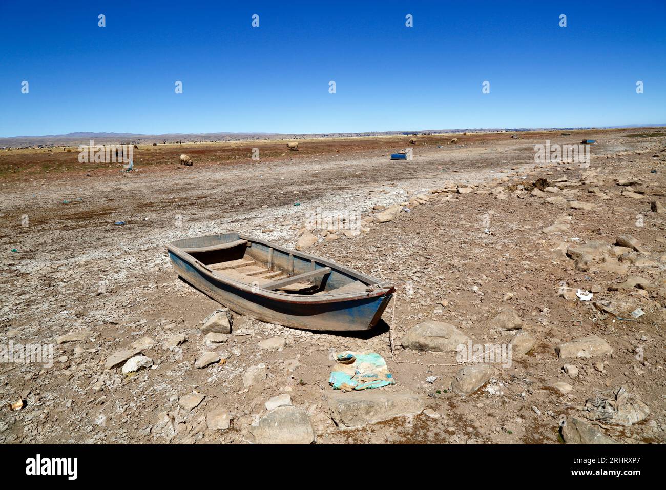 Niño normal hires stock photography and images Alamy