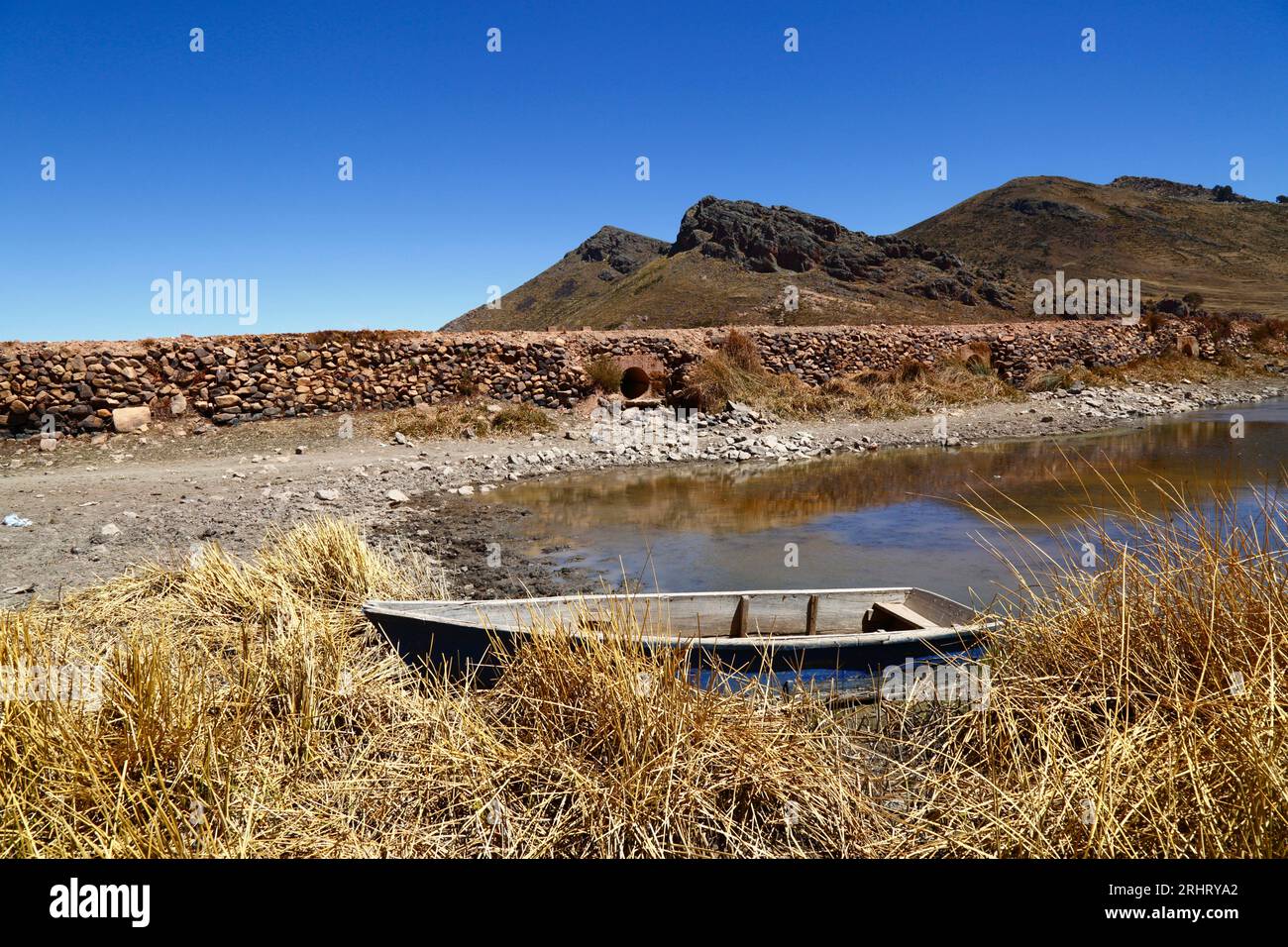 Lake titicaca bolivia august 18th 2023 a wooden rowing boat and dead