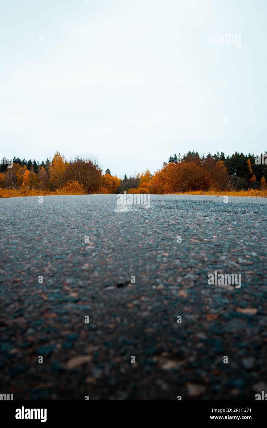Asphalted road and fall woods. Vertical shot Stock Photo - Alamy