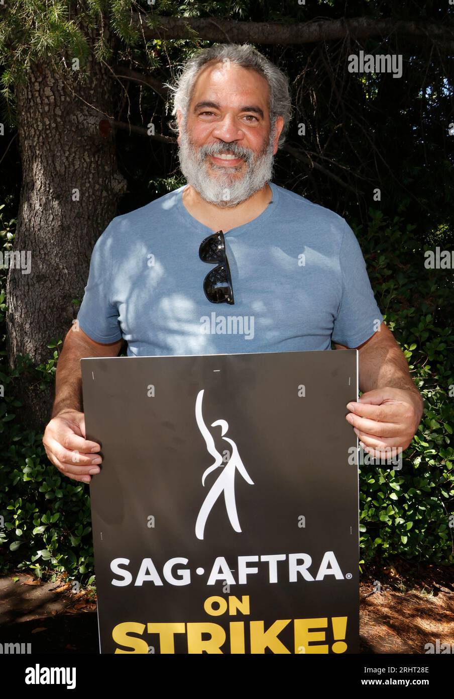 Hemky madera hires stock photography and images Alamy