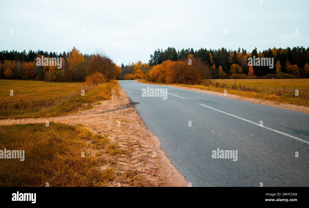 An asphalt road leading into the fall woods Stock Photo - Alamy