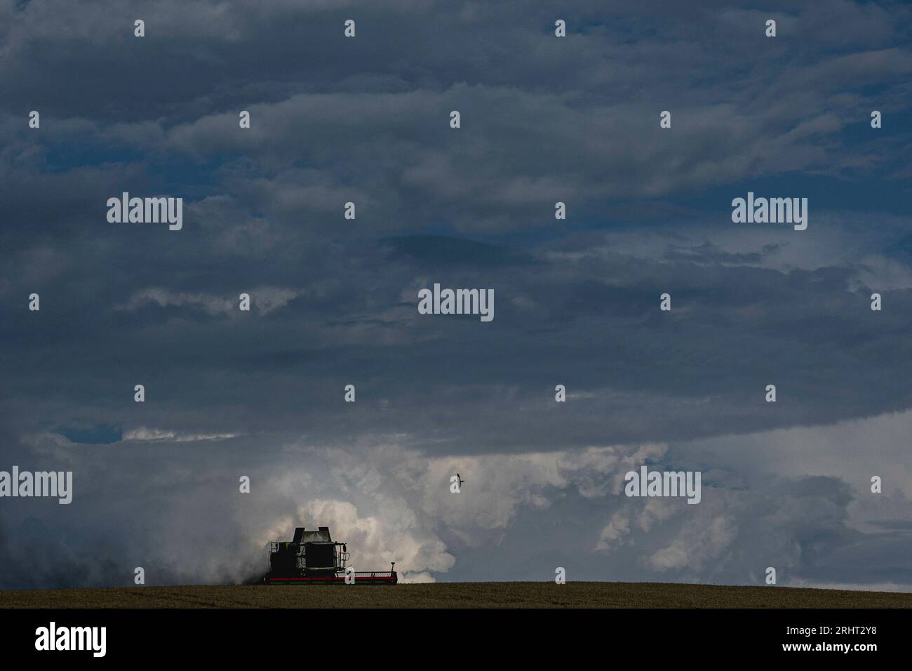 Landscape qf horizontal combine harvester harvest feature hi-res stock ...