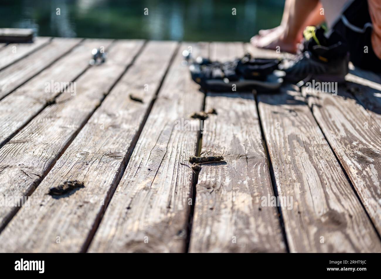 Scattered Goose poop on a wooden boat dock Stock Photo - Alamy