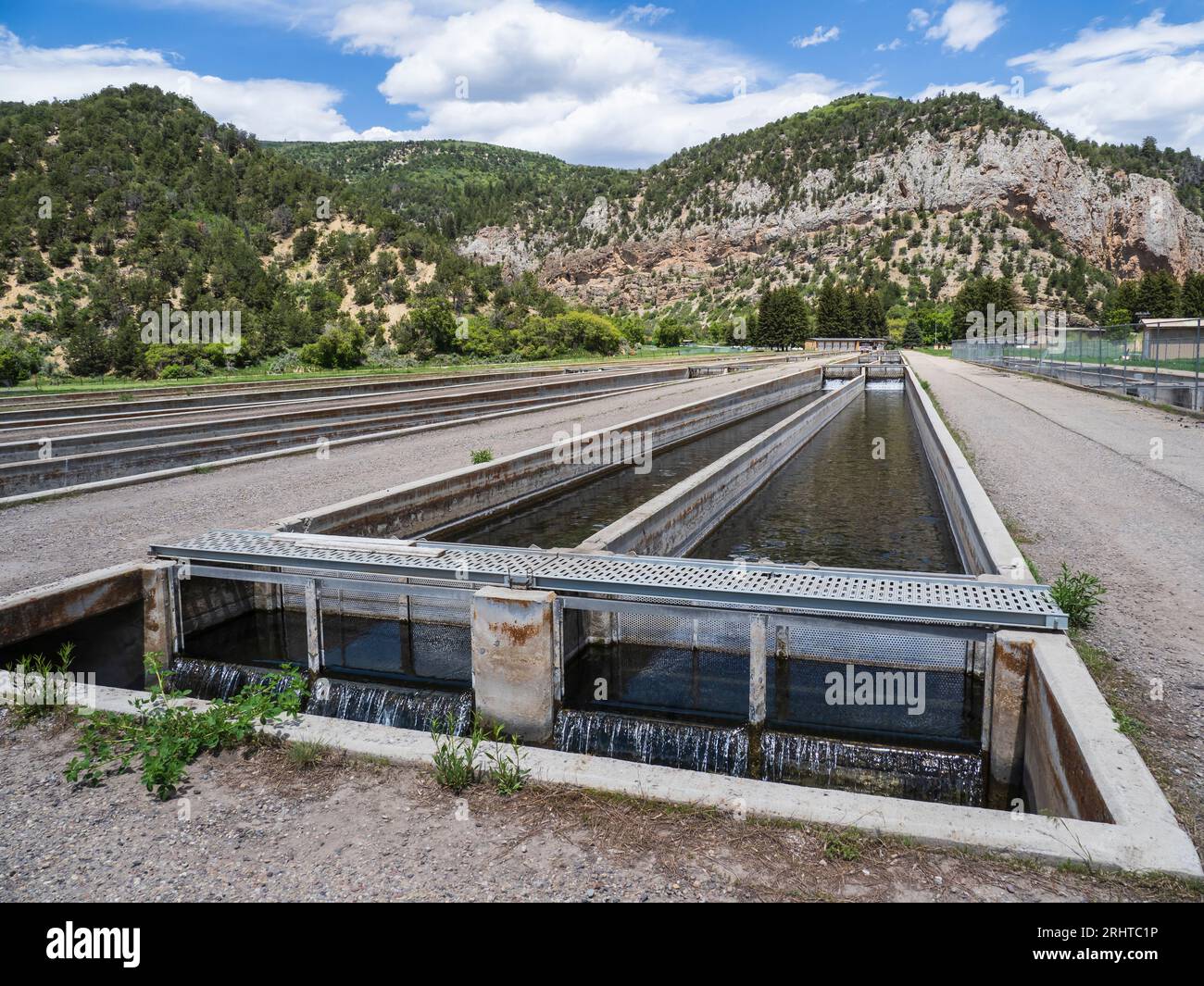 Races, Rife Falls Fish Hatchery, Rifle, Colorado Stock Photo Alamy
