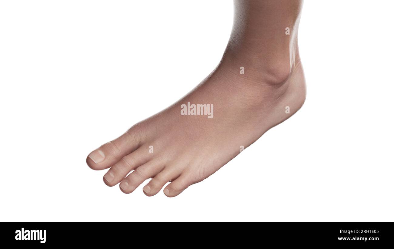 Left foot, illustration Stock Photo Alamy
