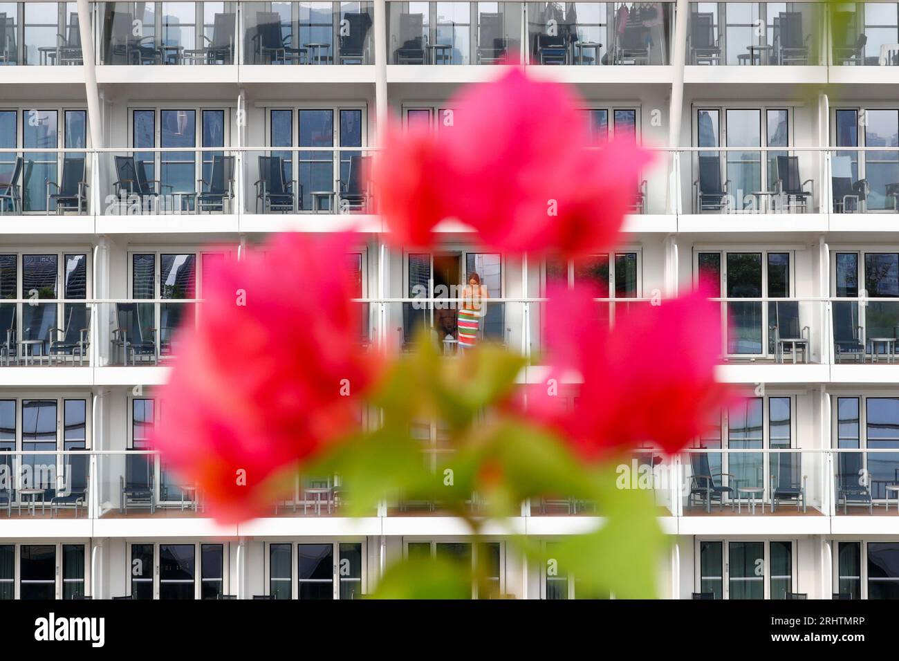 August 19, 2023, Hong Kong, Hong Kong, Hong Kong: A female tourist is seen using her phone through a flower as cruise ship SPECTRUM OF THE SEAS with nearly 4000 people on board from Japan berths at Kai Tak cruise terminal. The Hong Kong government has been working on luring international travelers to the Asia's World City to boost the economy, including attracting tourists from mainland China and Southeast Asian countries by giving free cash vouchers for shopping and food. Credit: ZUMA Press, Inc./Alamy Live News Stock Photo