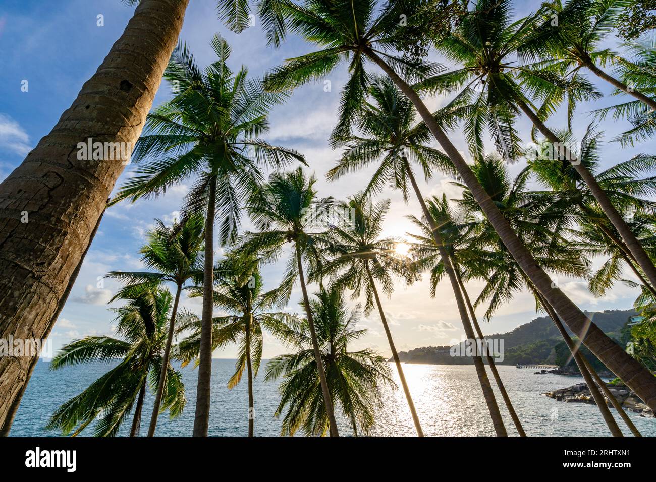 Landscape wide angle view coconut palm trees in sunset or sunrise sky over sea,Beautiful light nature seascape nature background Stock Photo