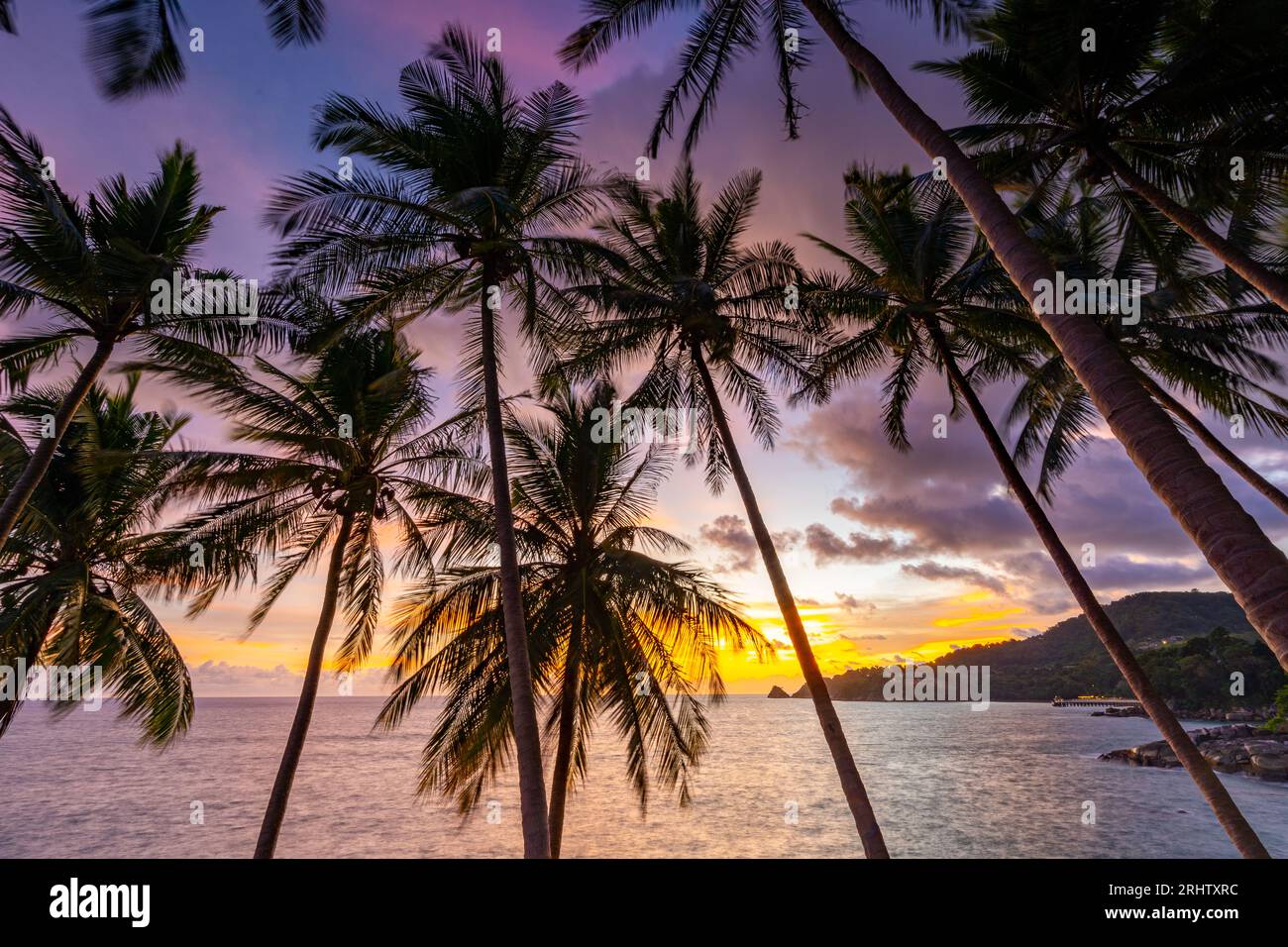 Landscape wide angle view coconut palm trees in sunset or sunrise sky over sea,Beautiful light nature seascape nature background Stock Photo
