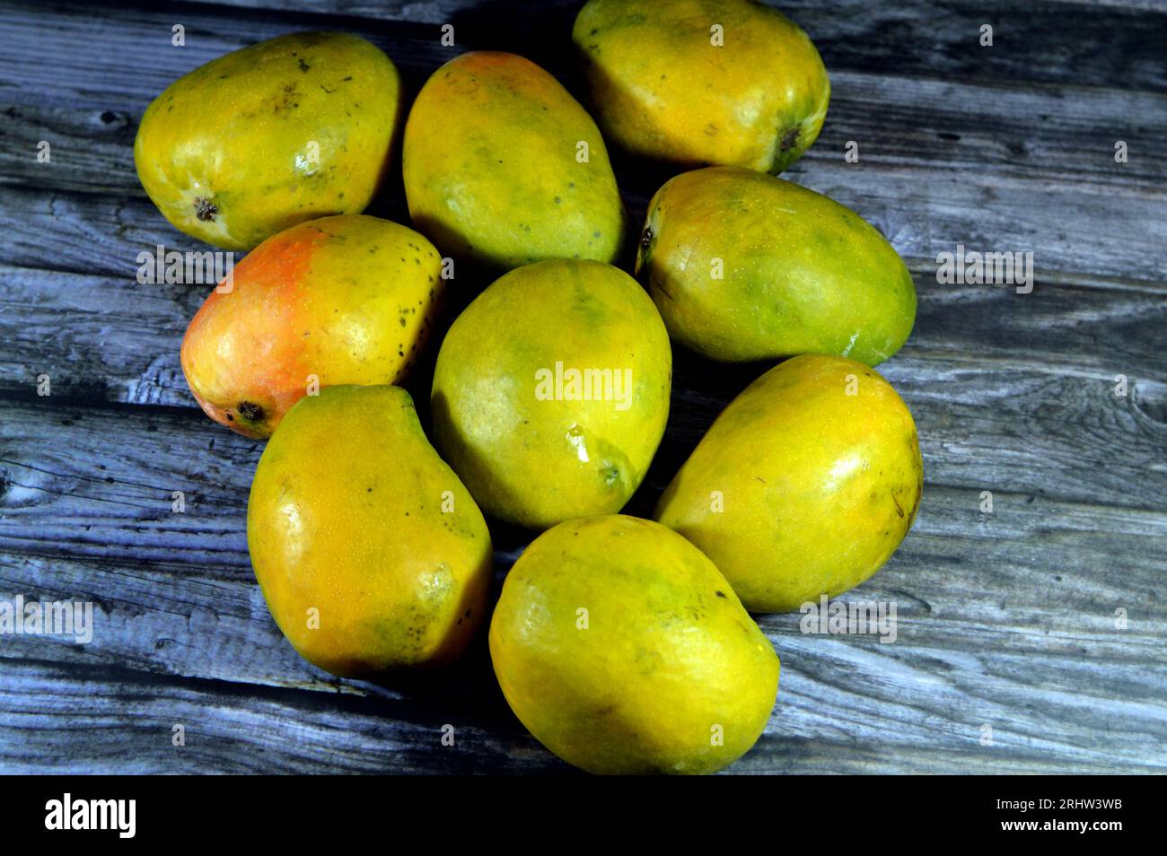 Pile of Egyptian fresh mango fruit with tropical delicacy, mangoes are