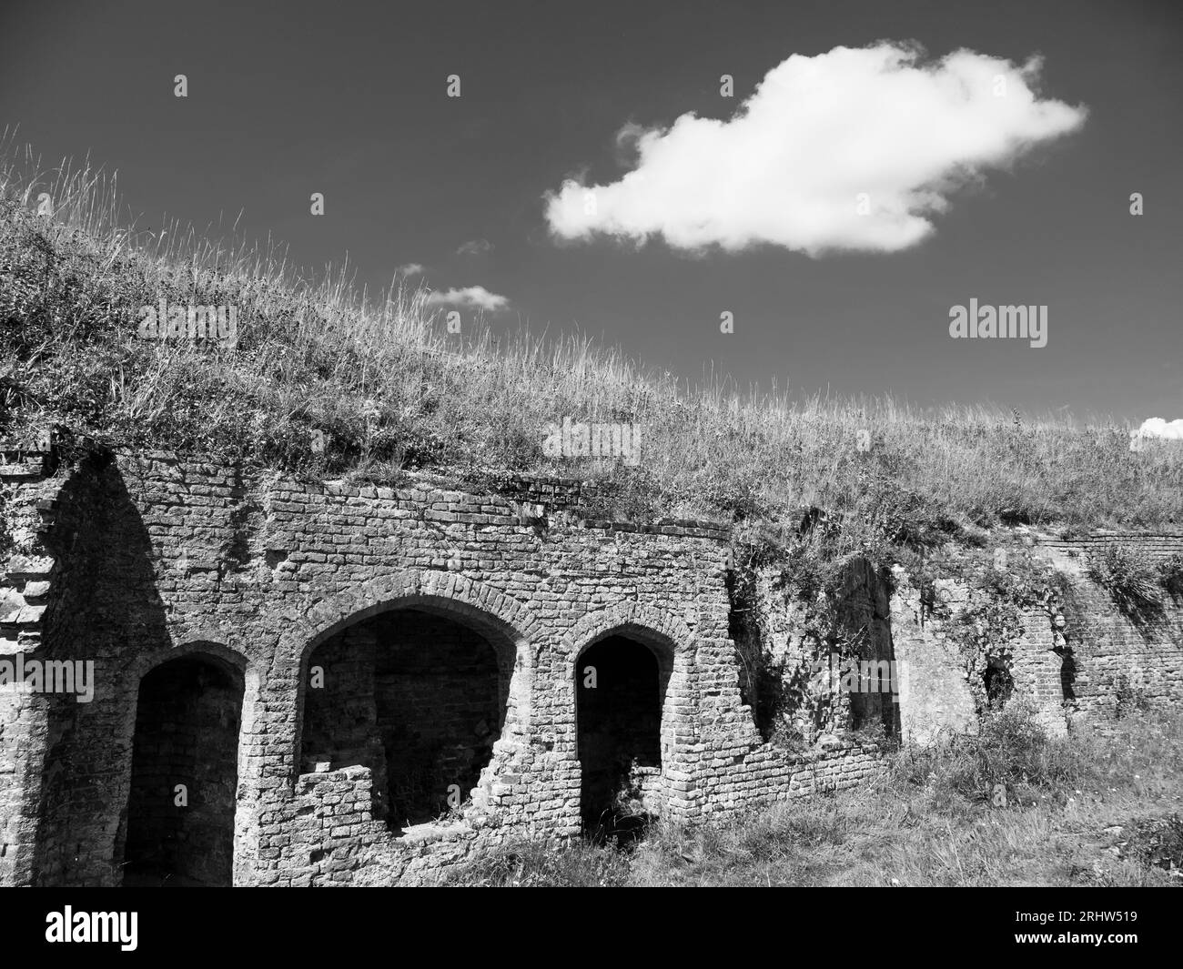 B&W Ruins of Basing House, Destroyed in the English Civil War, Old