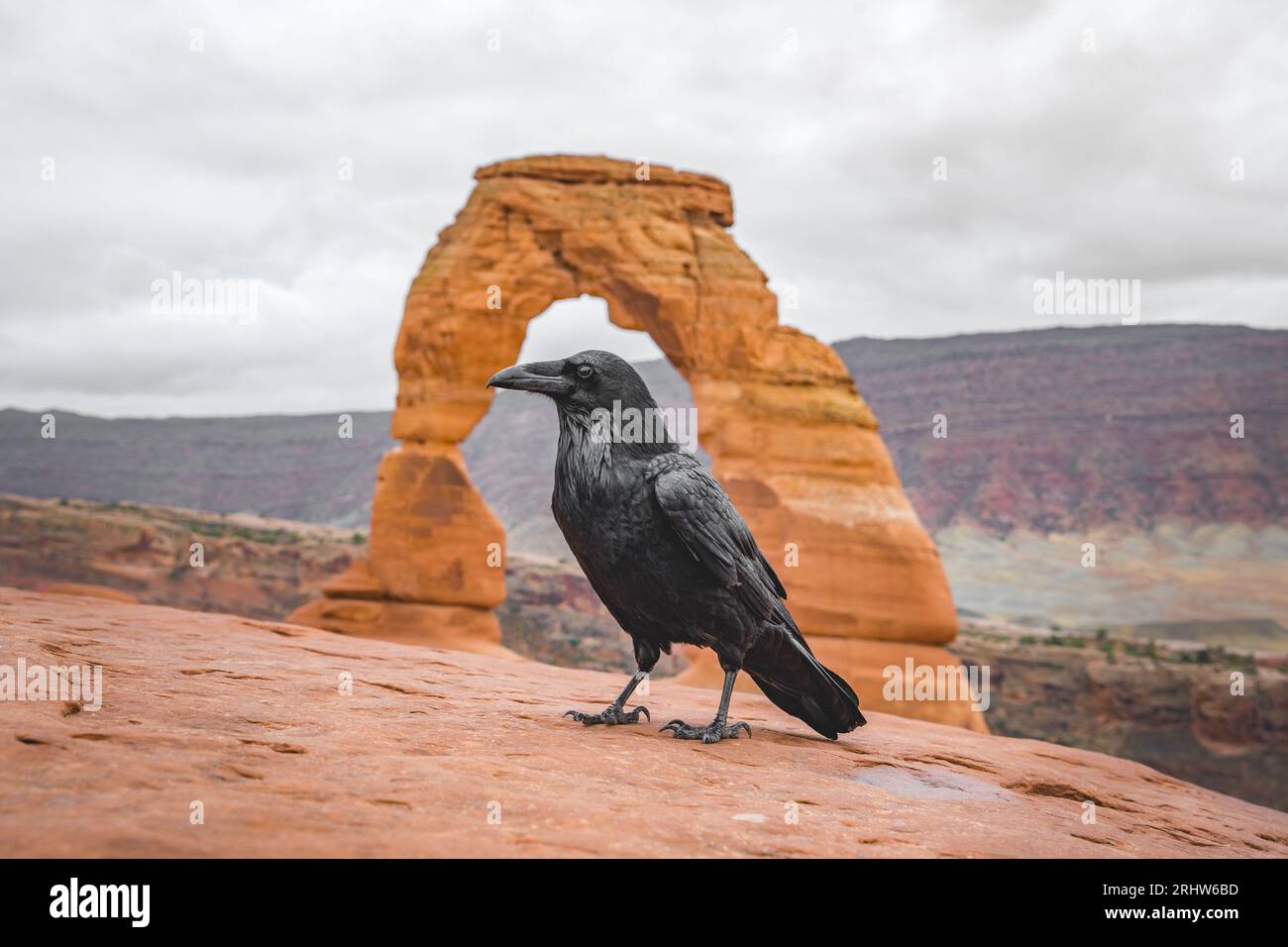 Delicate arch trailhead hi-res stock photography and images - Alamy