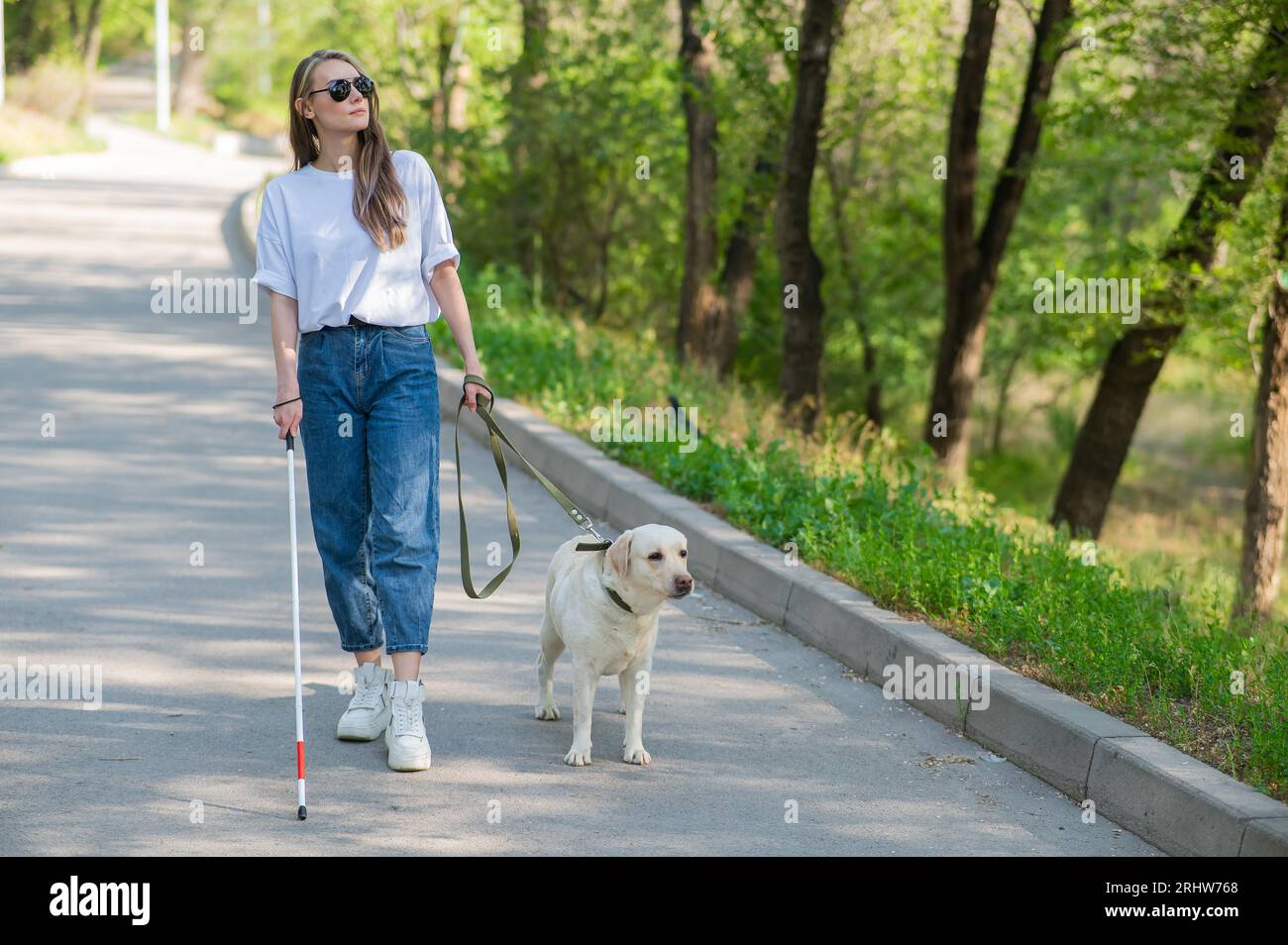 Blind woman walking with guide dog in the park Stock Photo - Alamy