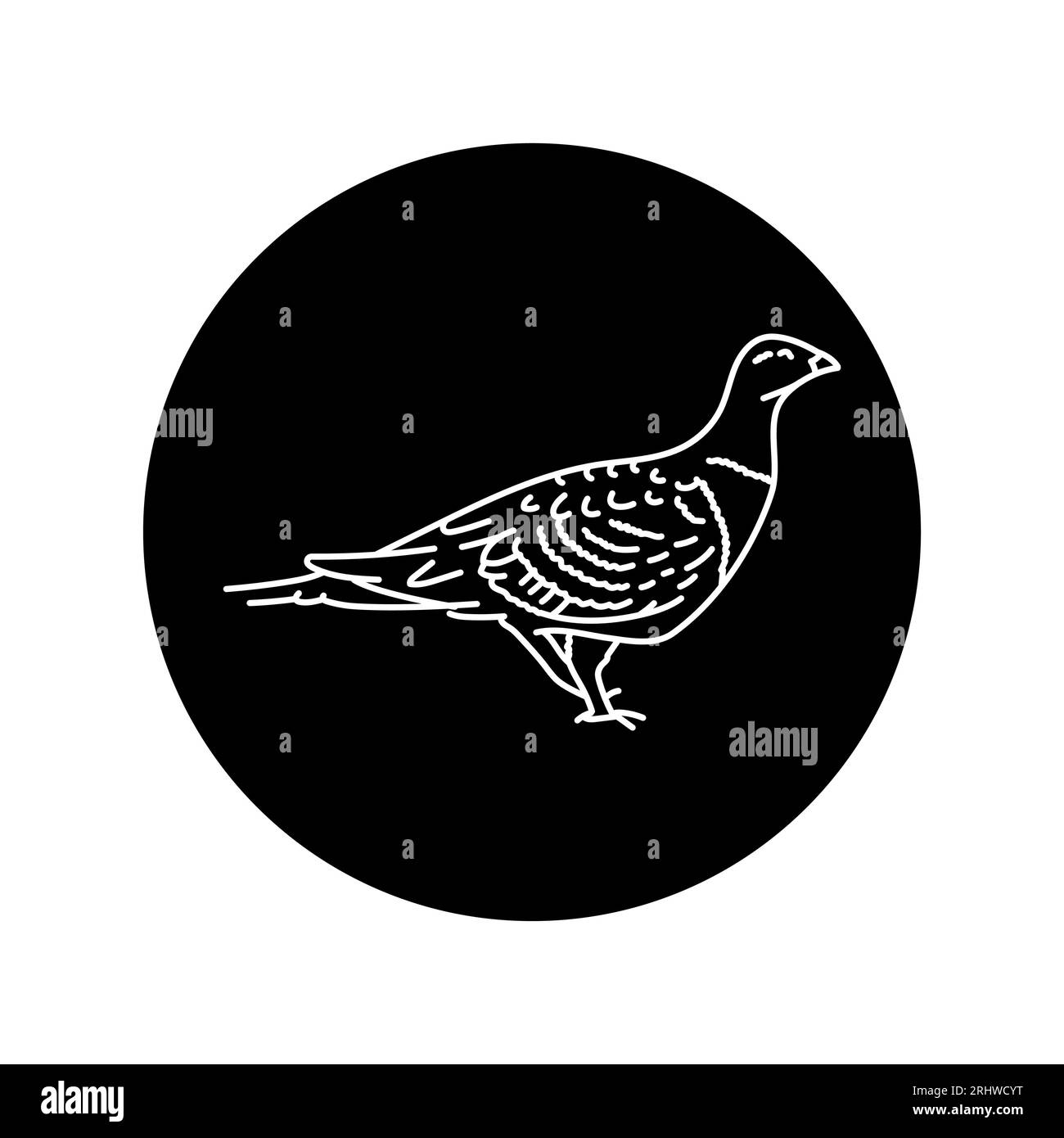 Rippled bird black line icon. Pictogram for web page, mobile app, promo