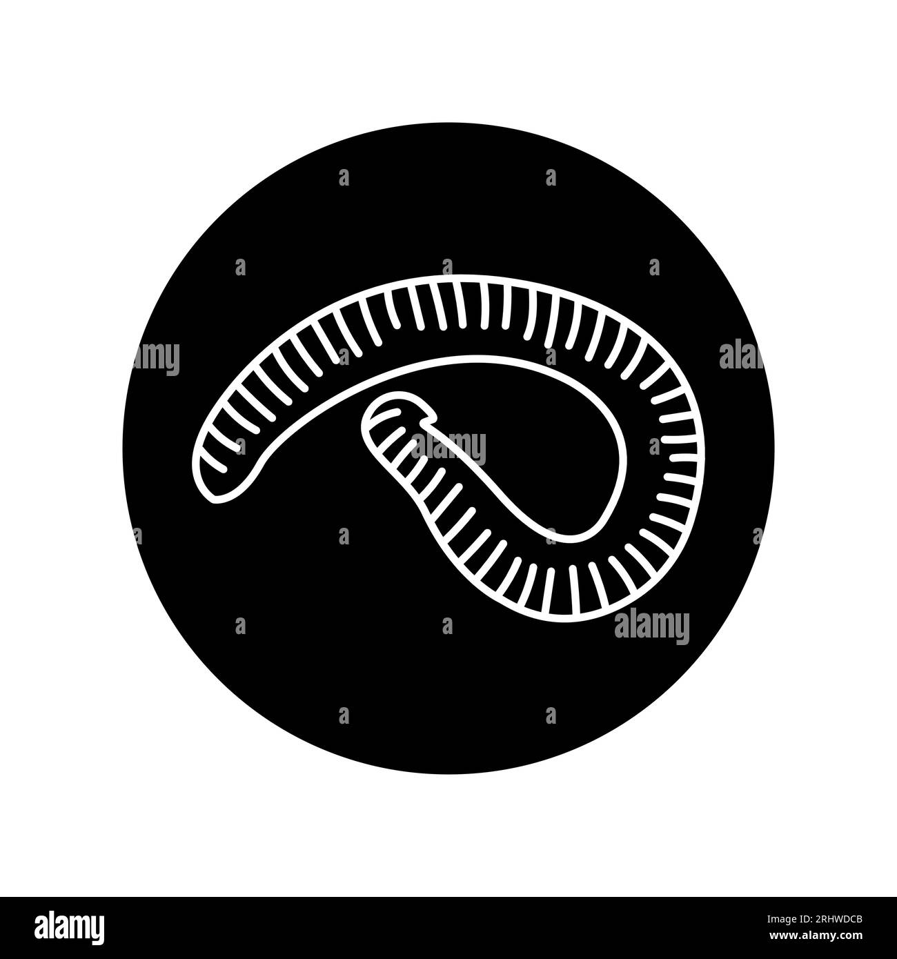 African centipede black line icon. Pictogram for web page, mobile app, promo. Stock Vector