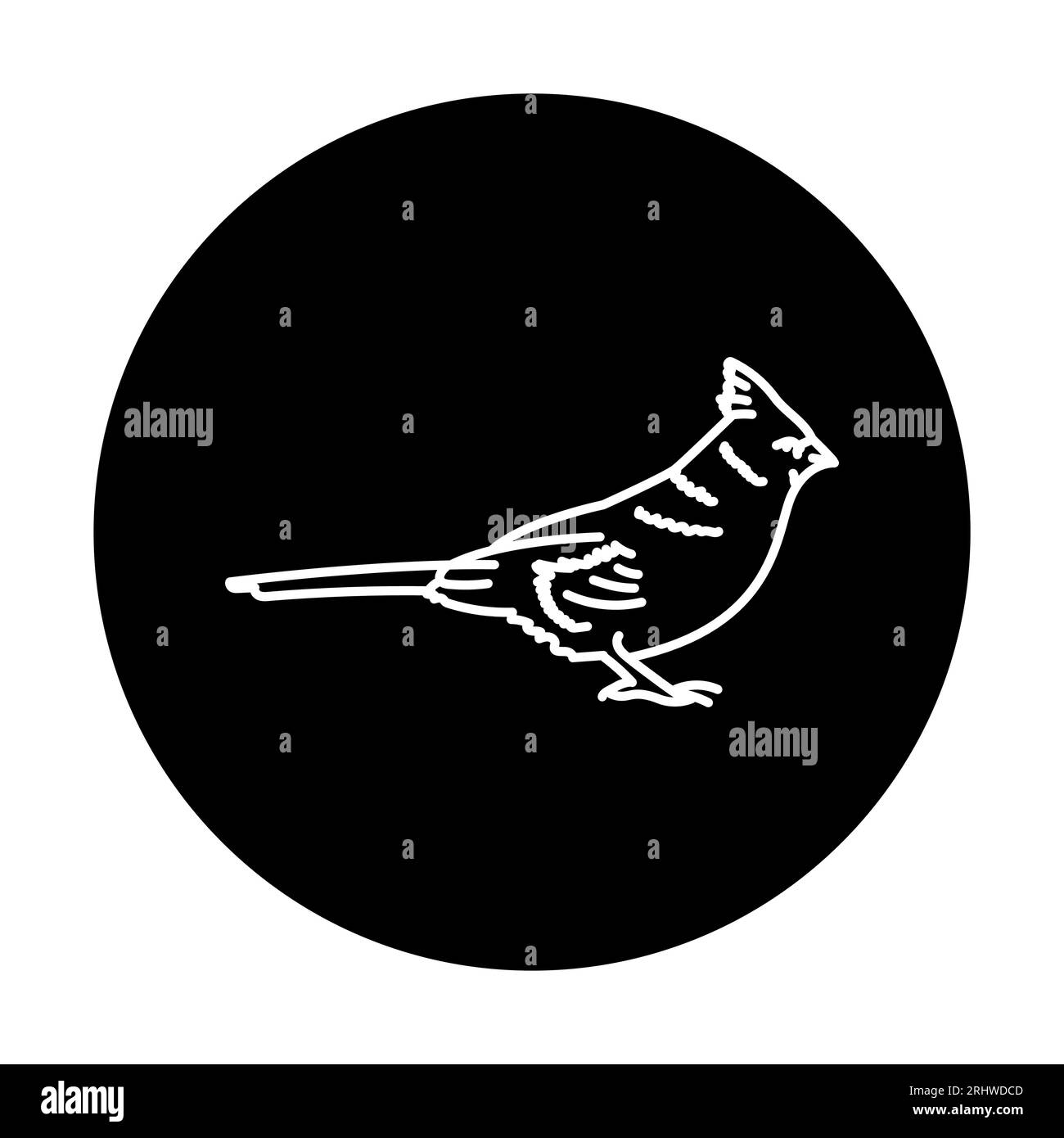 Cardinal bird Black and White Stock Photos & Images - Alamy