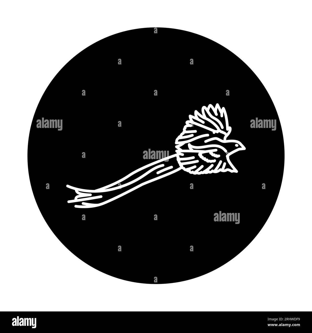 Black tailed vector vectors Stock Vector Images - Alamy