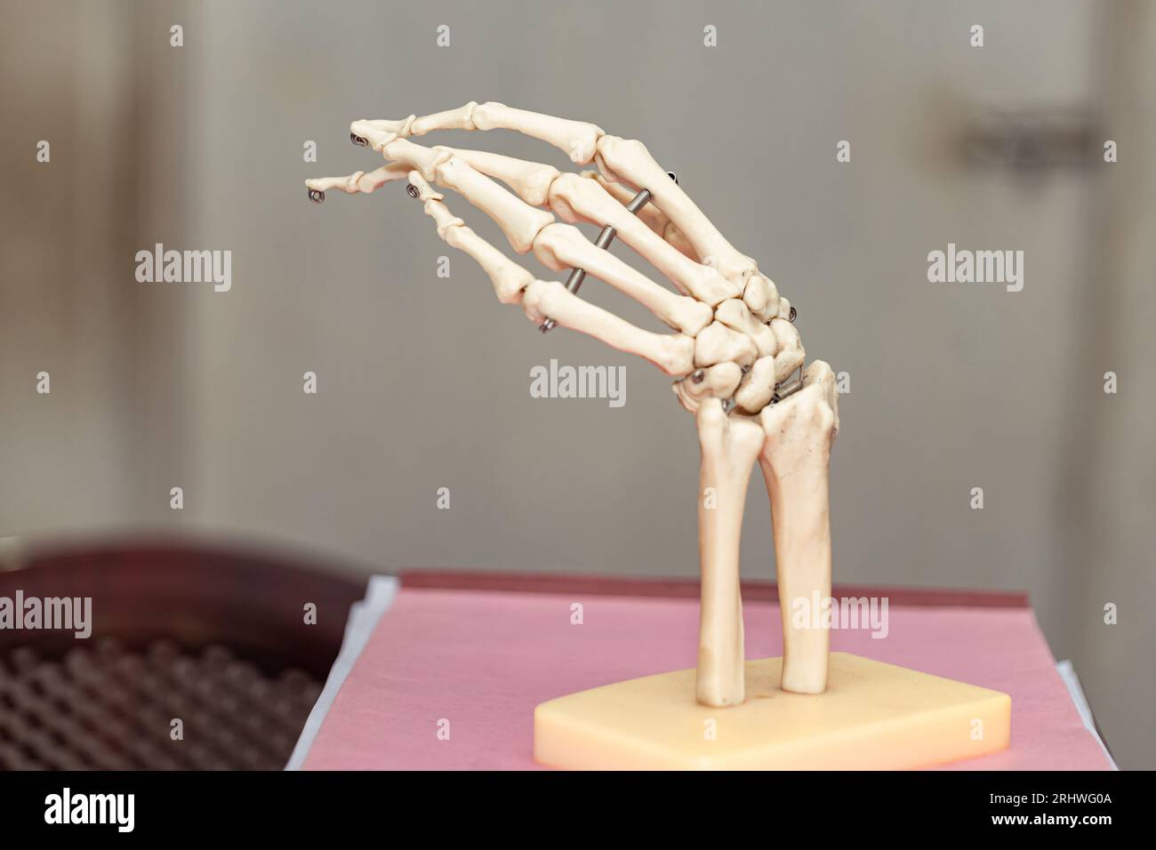 This life size, articulated human hand skeleton model is a great tool