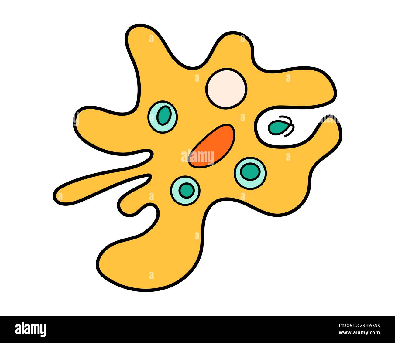 Amoeba proteus science icon with nucleus, vacuole, contractile. Biology education laboratory cartoon protozoa organism. Bold bright unicellular Stock Vector