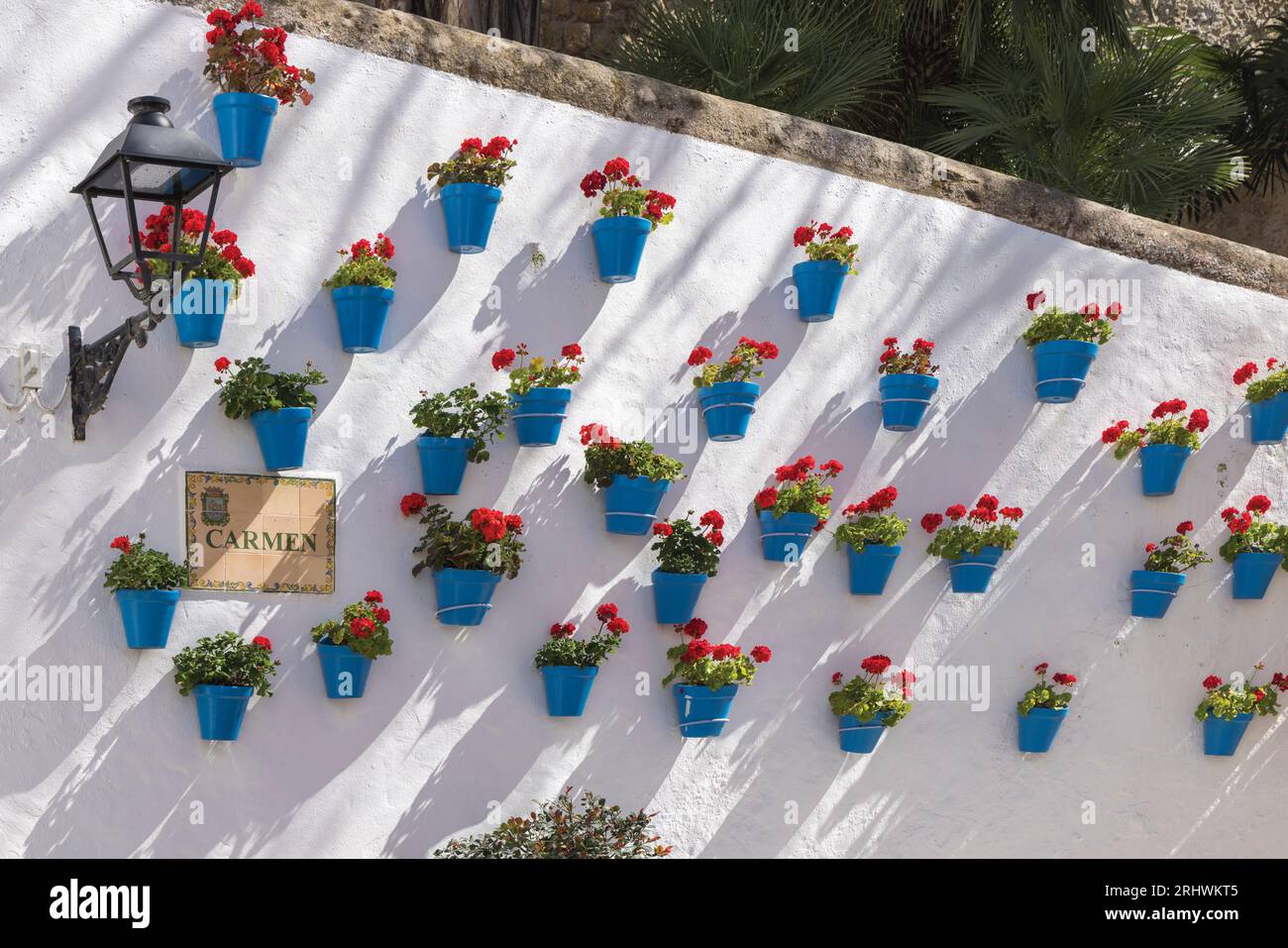 Marbella, Costa del Sol, Malaga Province, Andalusia, southern Spain.  Row of geraniums in blue flowerpots in Calle Carmen. Stock Photo