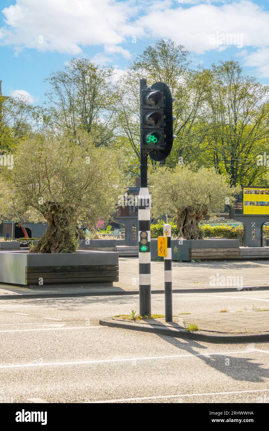 Netherlands. Sunny summer day in Amsterdam. Bicycle traffic light at the crossroads Stock Photo