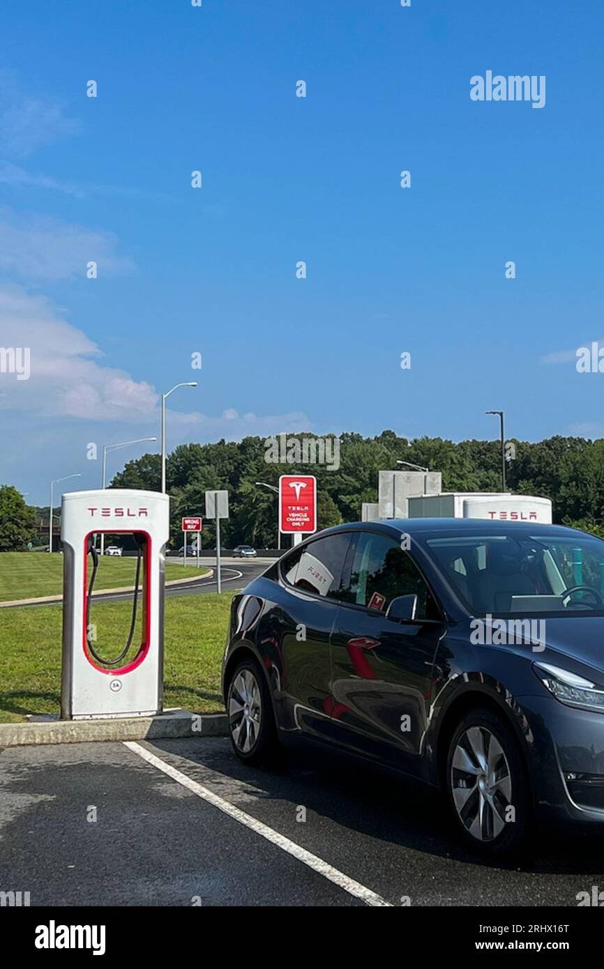 Tesla electric vehicles (EV) are connected to charging stations at a