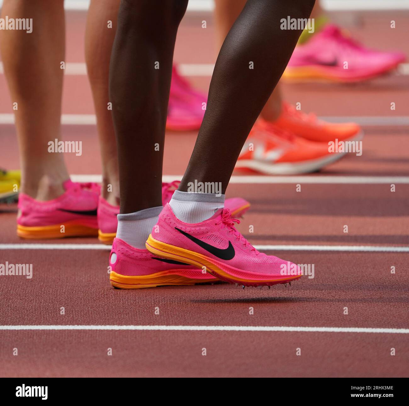 Budapest, Hungary. 19th Aug, 2023. Athletics: World Championship, 1500 m,  women, preliminary heat, at the National Athletics Center. The participants  wear pink running shoes. Credit: Marcus Brandt/dpa/Alamy Live News Stock  Photo -