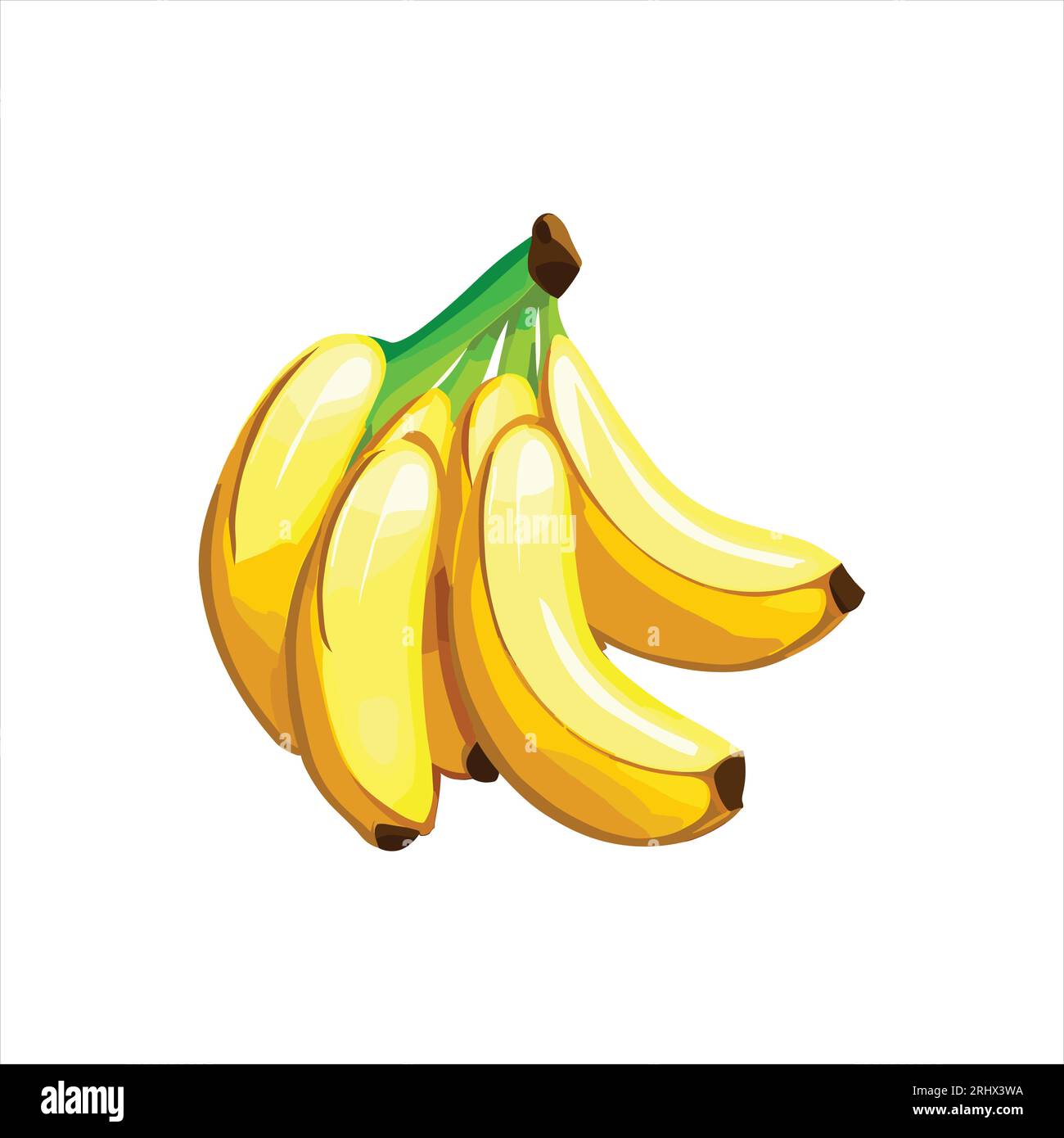 https://c8.alamy.com/comp/2RHX3WA/clipart-vector-illustration-of-bananas-2RHX3WA.jpg