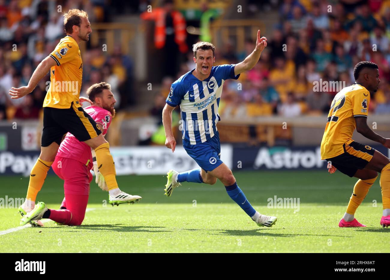 Solly march wolves august 2023 hi-res stock photography and images - Alamy