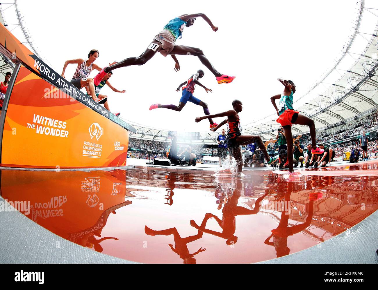 Avinash mukund sable budapest 2023 hires stock photography and images Alamy