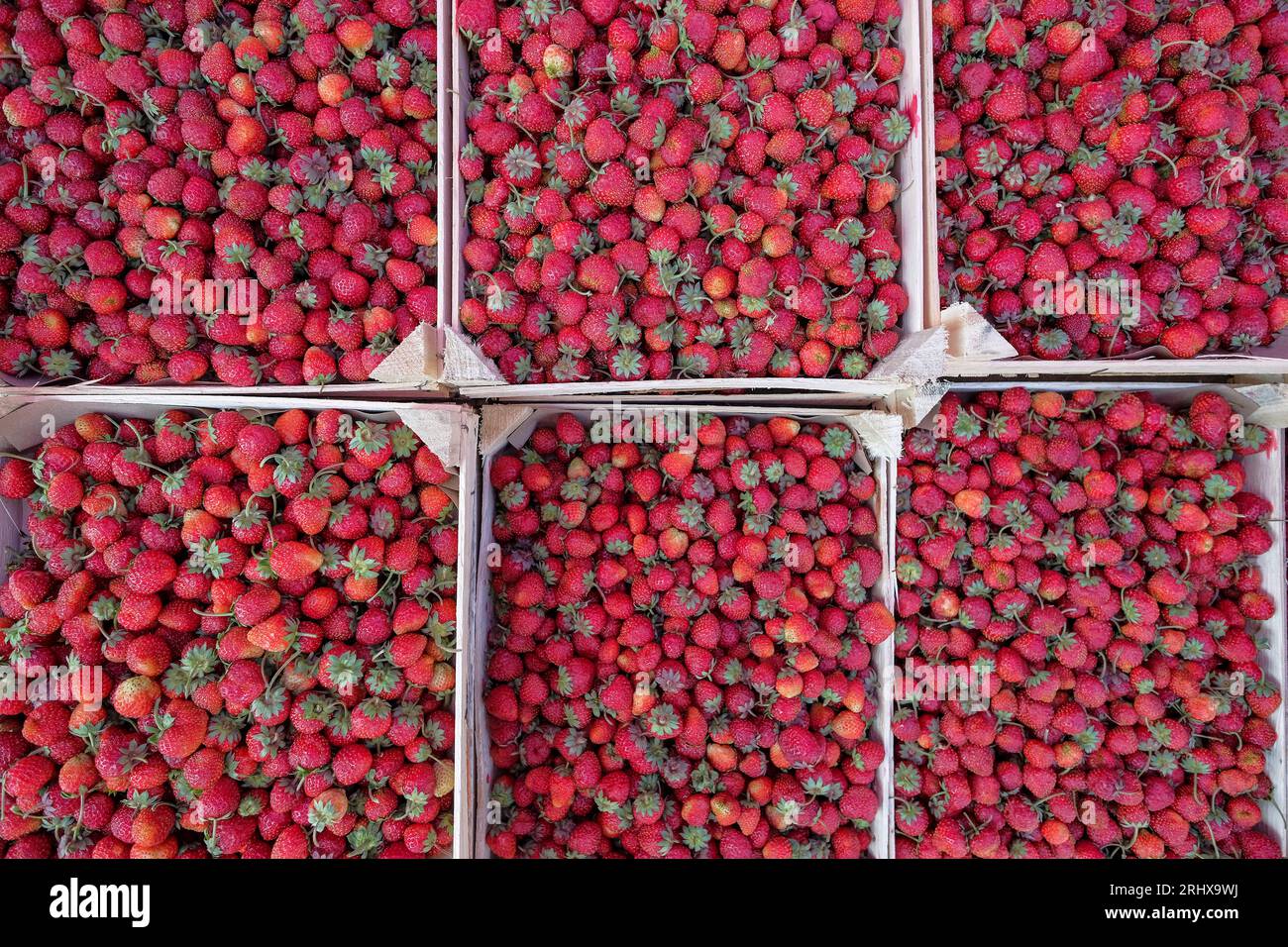 Strawberries at the New Bazaar in Karaganda, Kazakhstan. Stock Photo