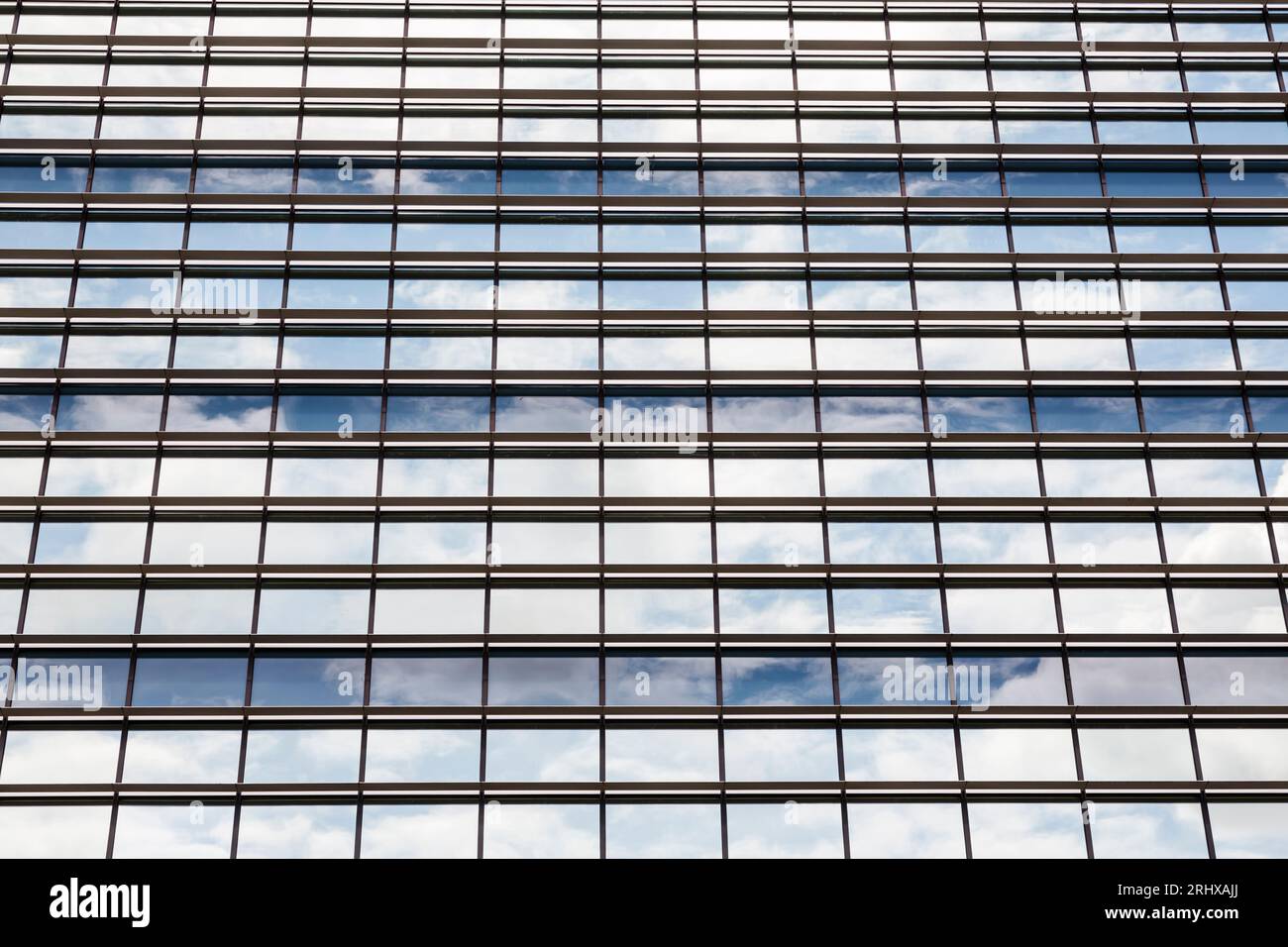 Looking up to multiple windows on an office block reflecting the sky Stock Photo