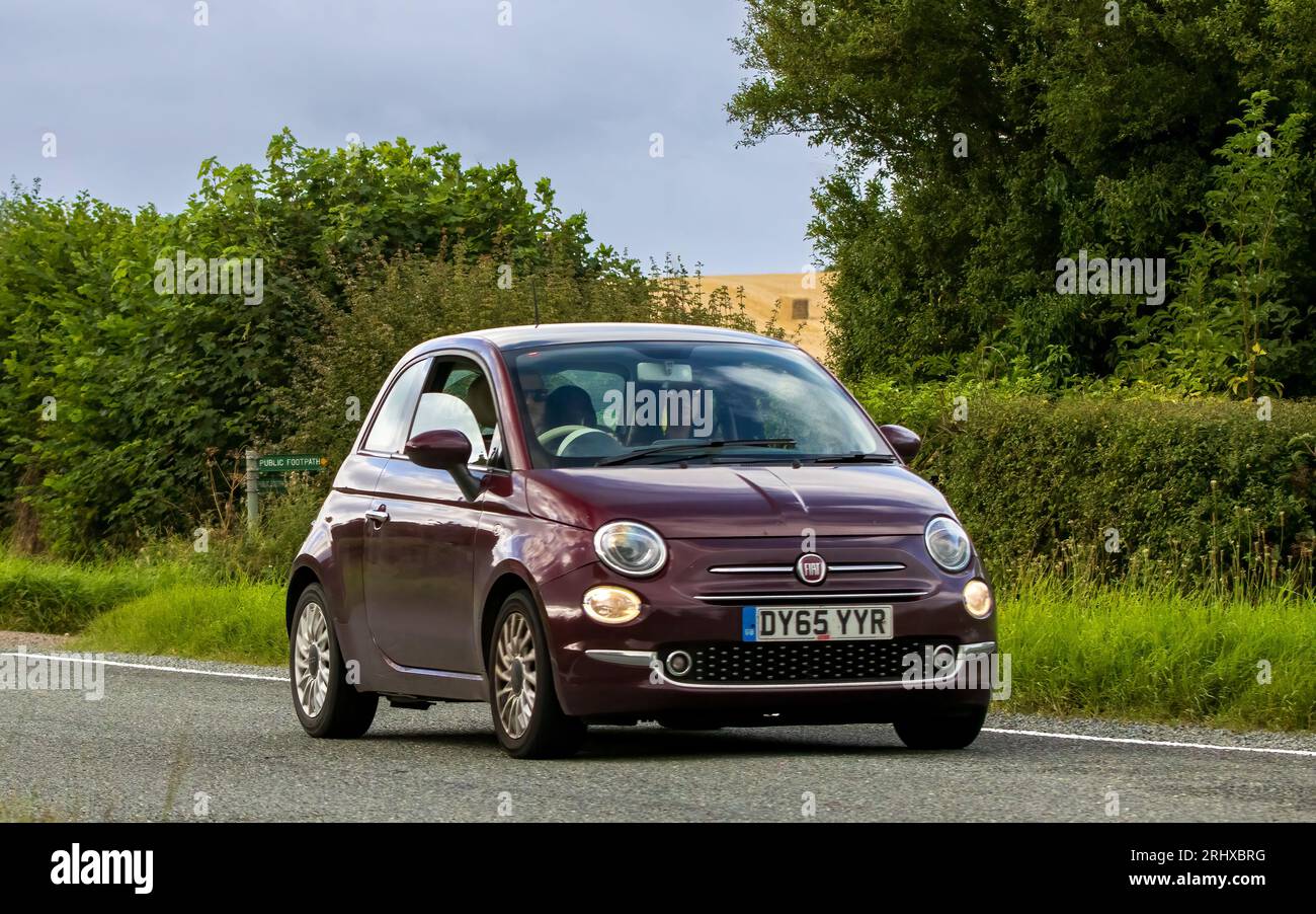 Woburn, Beds, UK - Aug 19th 2023: 2015 fiat 500  car travelling on an English country road. Stock Photo