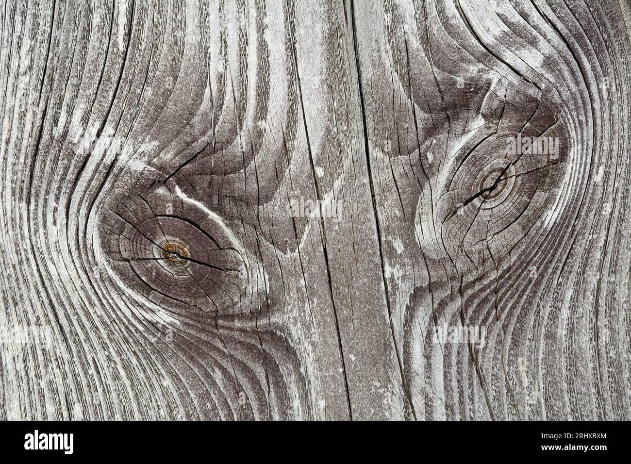 Texture of old  board with grain and knots Stock Photo