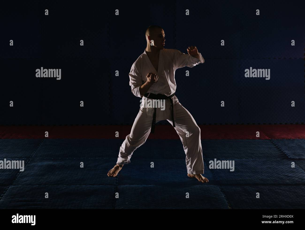 Karate vector vectors hi-res stock photography and images - Alamy