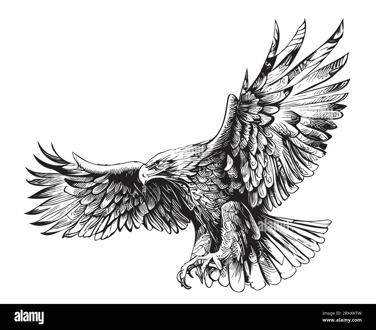 Eagle attacking sketch hand drawn engraving style illustration Stock Vector