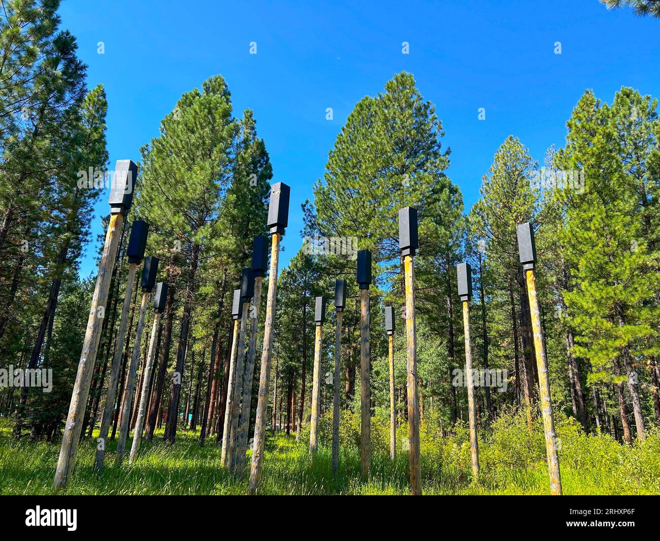 "Bat Beacons" by Tyler Nansen at the Blackfoot Pathways Sculpture in