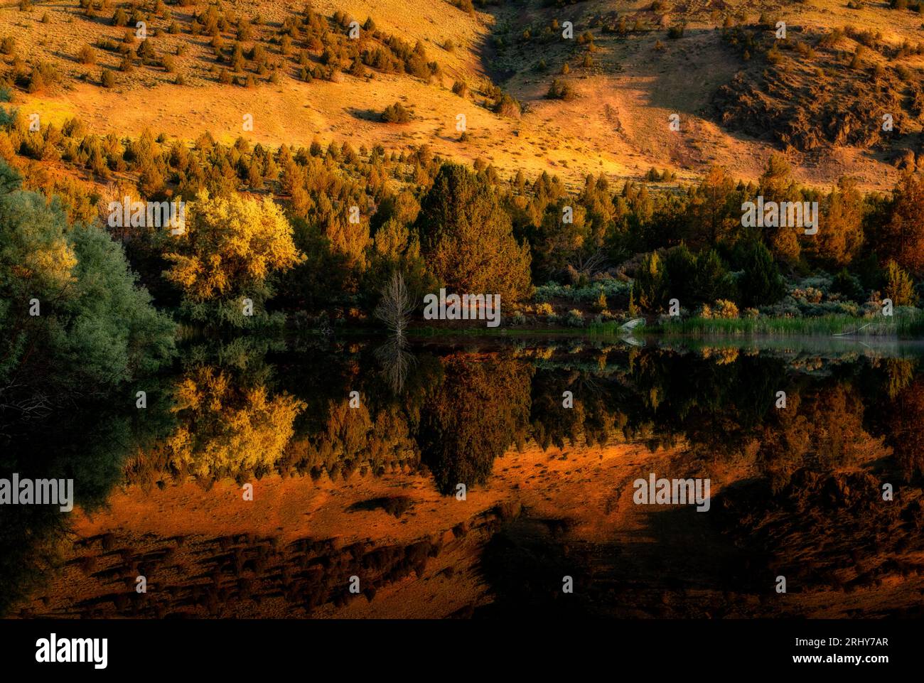 The pond at the Summer Lake Lodge reflects the surrounding hillside as it is illuminated by the rising sun. Stock Photo