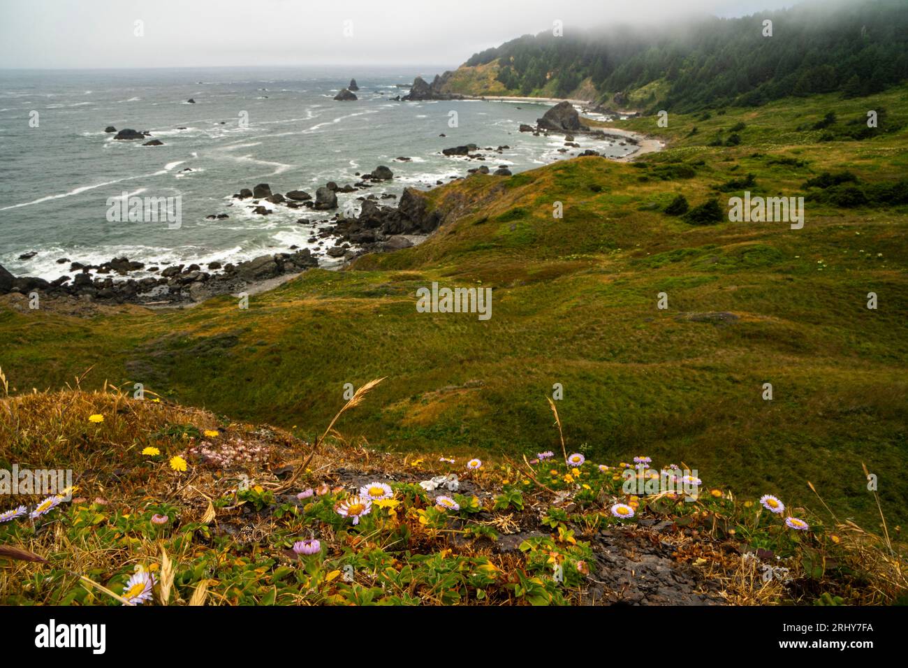 Looking north from Cape Ferrelo toward House Rock viewpoint. Stock Photo