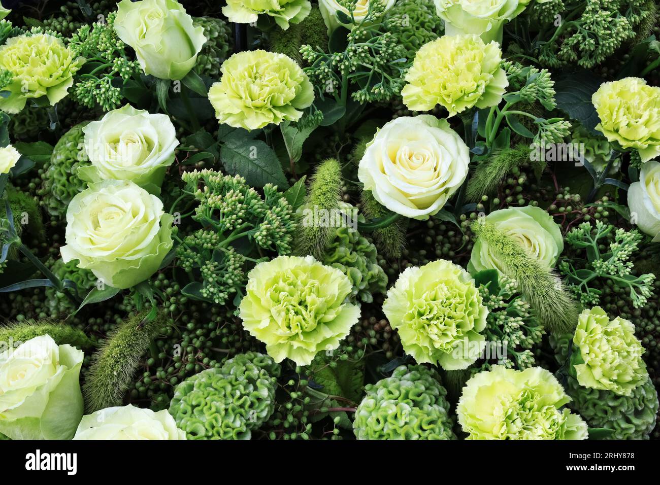 Beautiful flowers background. Bouquet of green roses and carnations. View from above, flowers