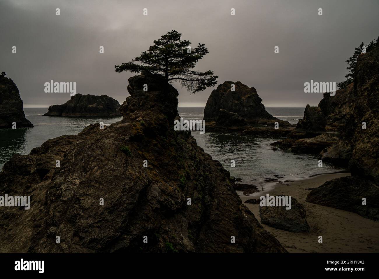 Samuel H Boardman State Park The Oregon Coasts Best Kept Secret Shhh - 8eedkr0