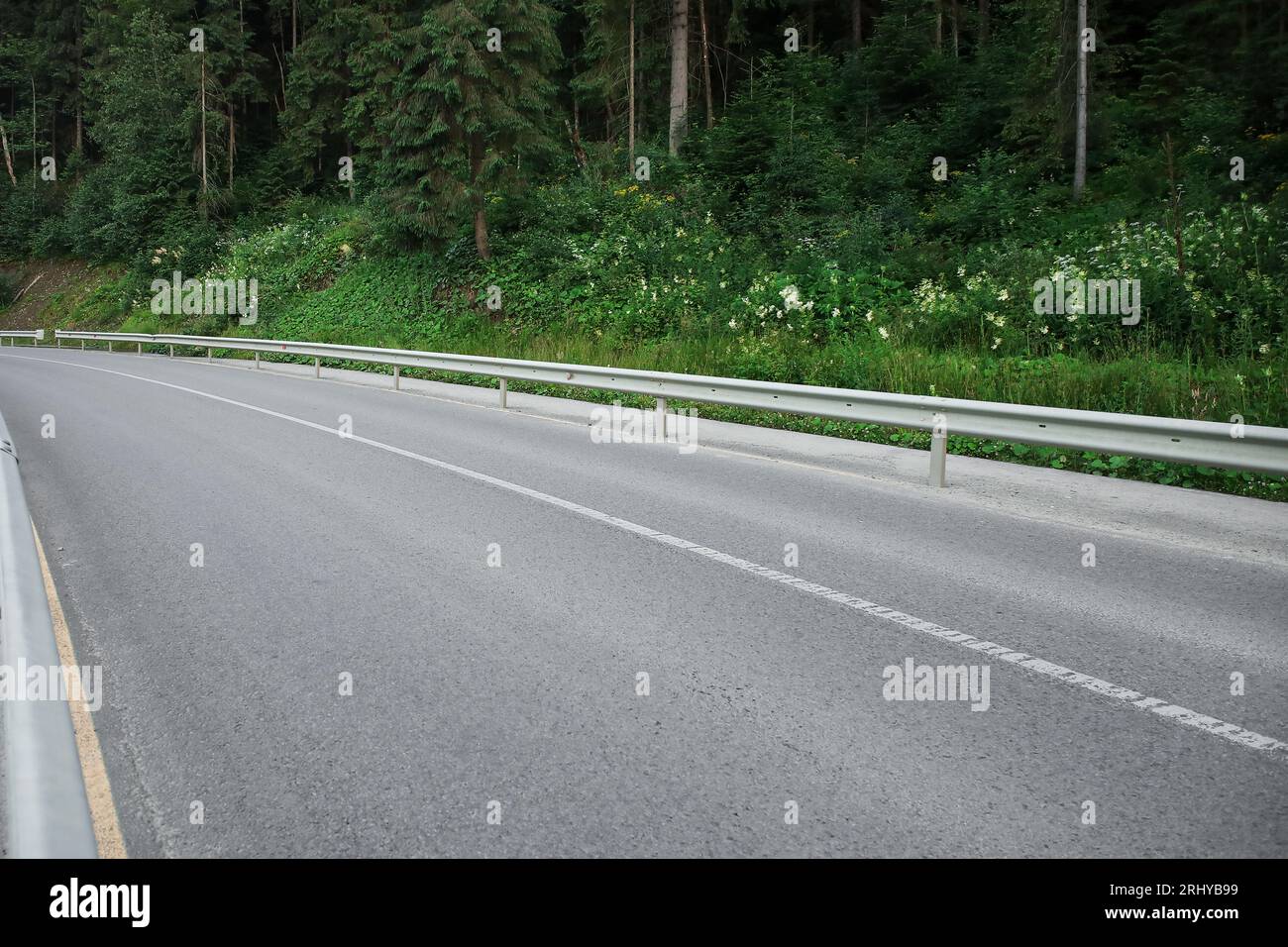 Asphalt road in green forest Stock Photo - Alamy