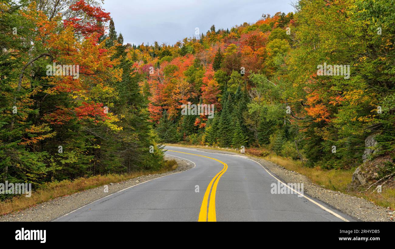 Winding Autumn Road - Highway Route 17, part of Rangeley Lake Scenic Byway, winding through a colorful mountain forest on an Autumn morning. Maine, US. Stock Photo