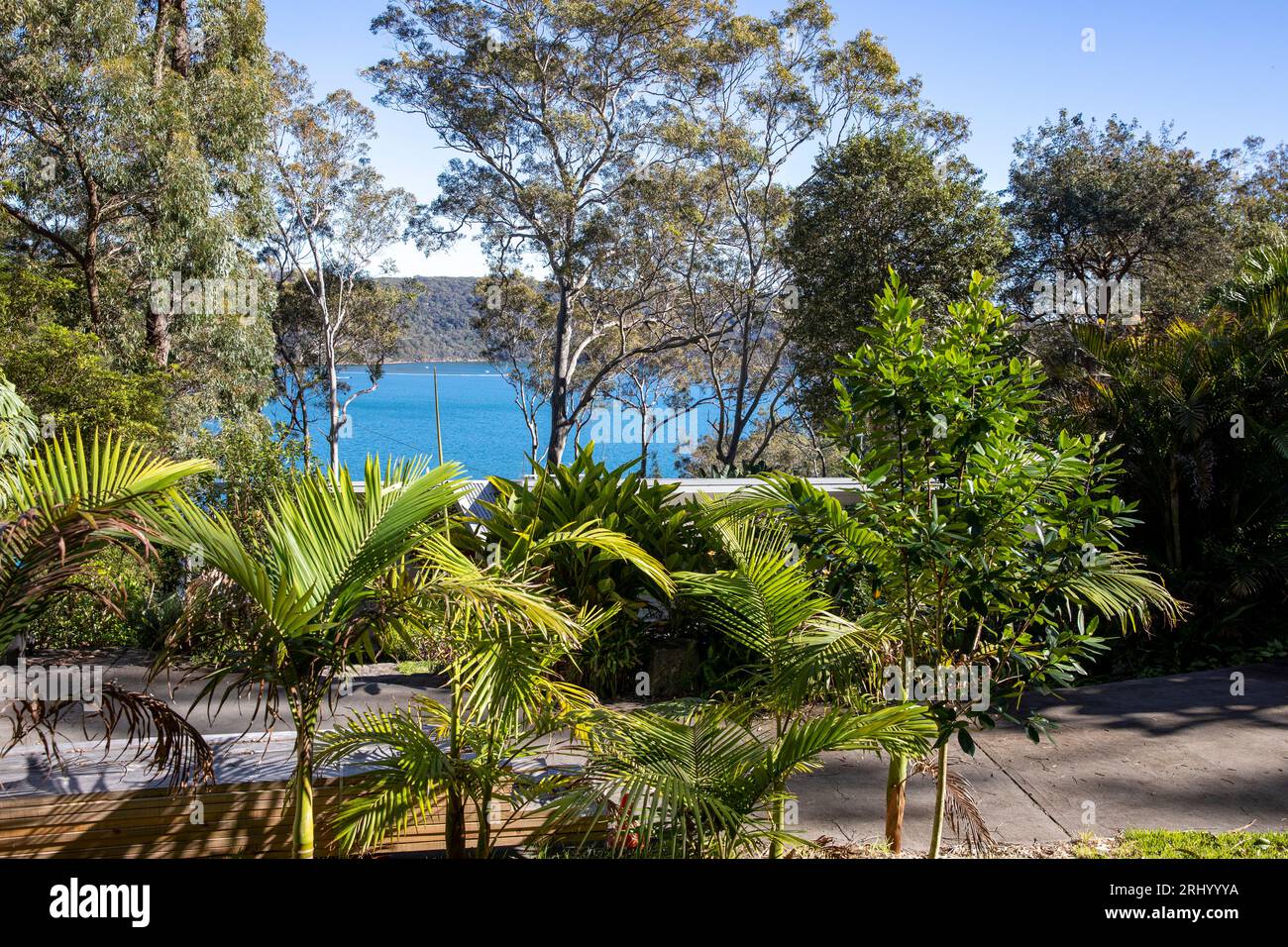 Sydney Australia lush green garden at a waterfront home overlooking Pittwater on Sydney northern beaches,NSW,Australia Stock Photo