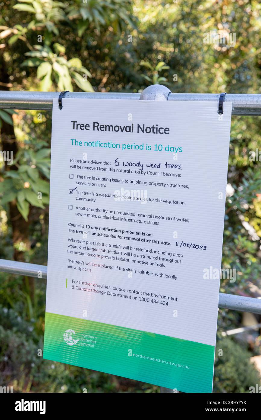 Sydney, Australia Northern Beaches council public notice advising of tree removal for trees considered as weeds, NSW,Australia Stock Photo