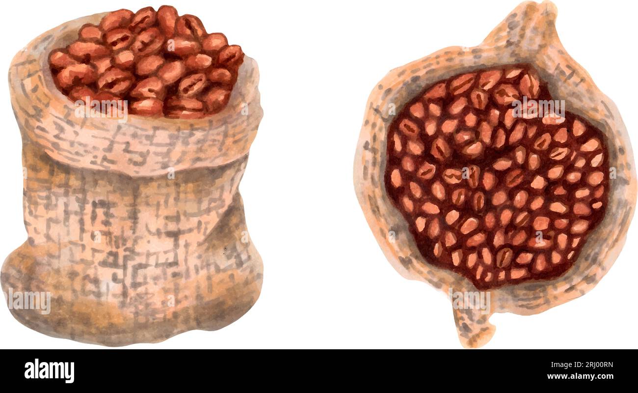 Coffee beans in a woven canvas bag. Top and front view. Arabica coffee. Cappuccino, mocha, espresso, latte, chocolate ingredient. International coffee Stock Vector