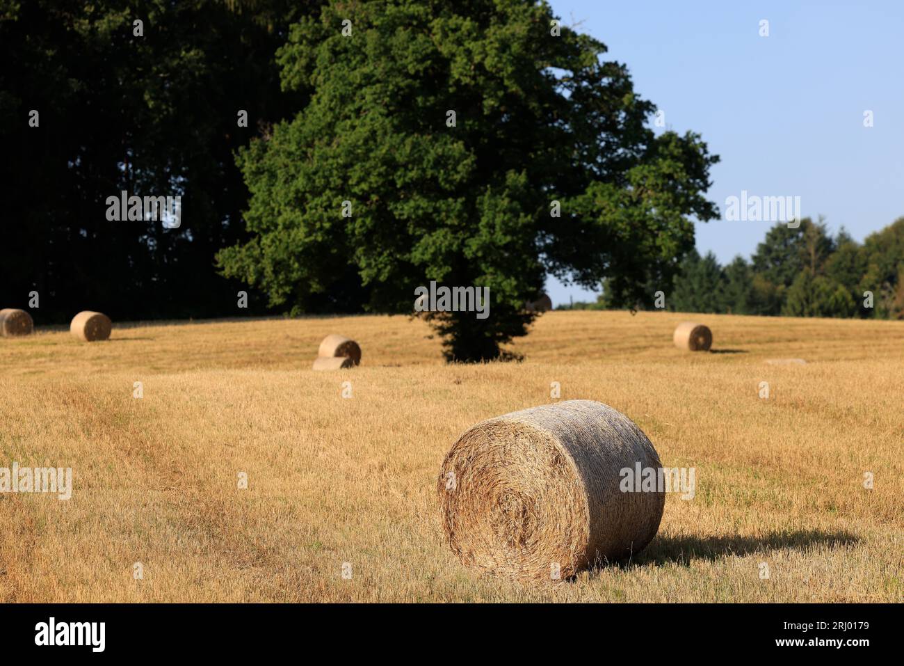 Moisson céréales hi-res stock photography and images - Alamy